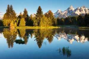 Schwabacher Landing, Grand Teton NP